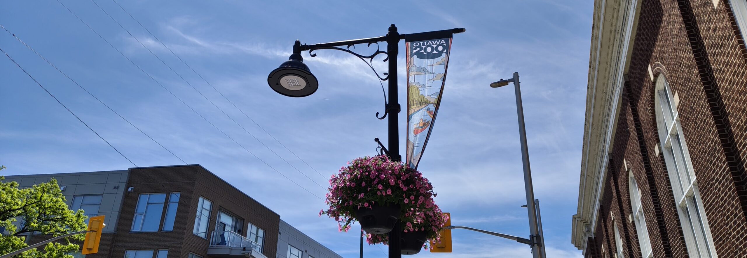 A Glebe lamp post on Bank Street flying the 2026 Ottawa 200 banner over the shopfronts
